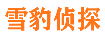 拉孜外遇调查取证